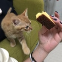 里親さん募集中