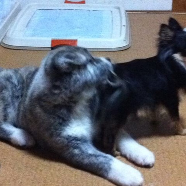 久保田さんのカバー写真