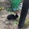 の写真