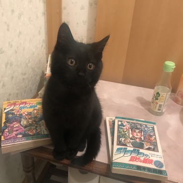 どこにでもついてきます ちなみにトイレです(笑)
