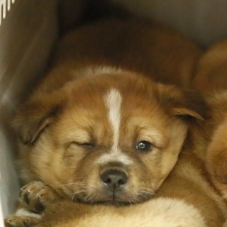 良いご縁に繋がりました。