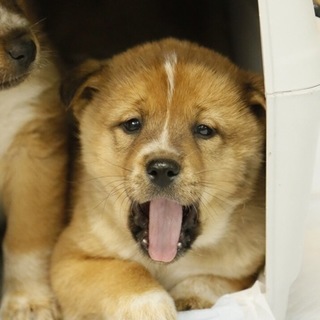 良いご縁に繋がりました。