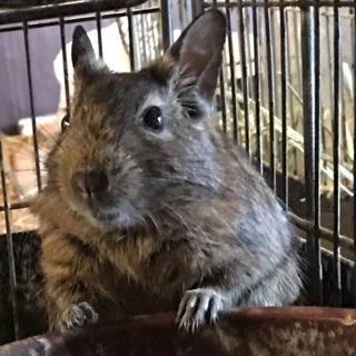 ありがとうございました！