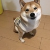 haruna57さん