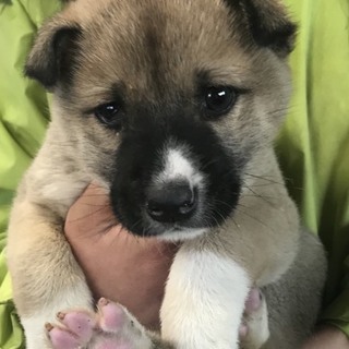 ♂５５０里親さん募集です(^^)