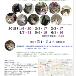 ＊子猫里親会＊一時預かりボランティアさん募集説明会