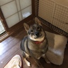 の写真