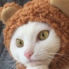トロ