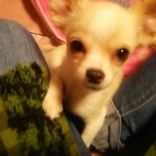 沢山のお問い合わせありがとうございました