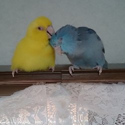 カステラとそら