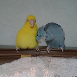 「カステラとそら」サムネイル3