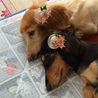 きりっち