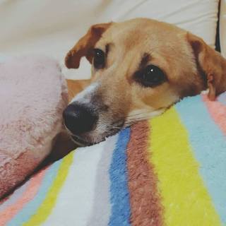 宮古島出身の可愛い女の子♪