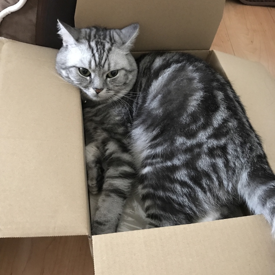 ぱるのカバー写真