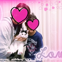 正式譲渡❤チャイちゃん