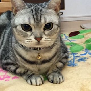 たくさんのご応募ありがとうございました！