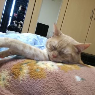 【ご応募ありがとうございました｡】