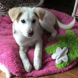 すぐにいろんなこと覚えられるよ♪ 涼真です