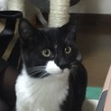 まんまるな瞳の男の子
