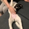 お腹さすさすが大好き