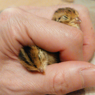 幸せなお家に受け入れていただきました♥