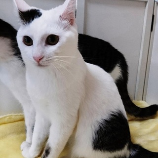 元気、お転婆ちびちょろろん♡