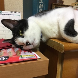 「真菌陰性！」サムネイル2