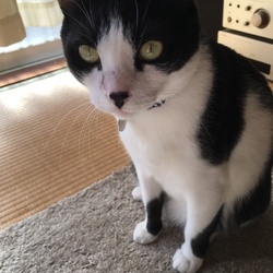 「真菌陰性！」サムネイル3