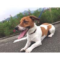 アイル