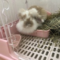 ありがとうございました！