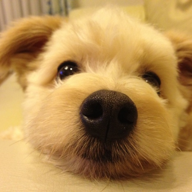 もりちゃん◡̈⃝のカバー写真