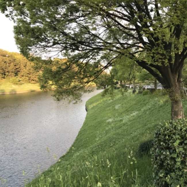 HY001のカバー写真