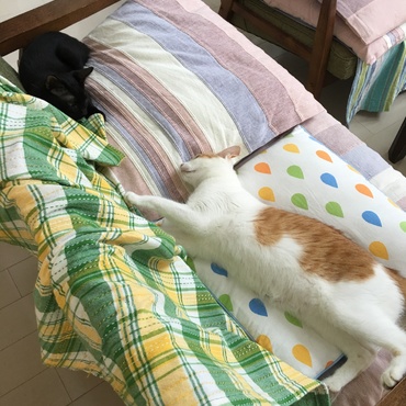 2人は友達