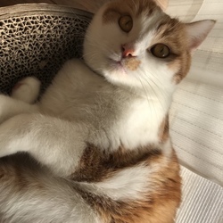 むぎの日向ぼっこ