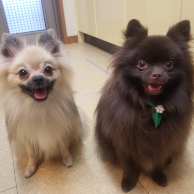 sizuka1123のカバー写真