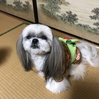 にーな
