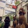 アンディウイリー福