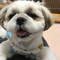 みりん