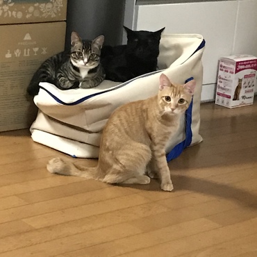 みんな仲良し