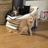 みんな仲良し