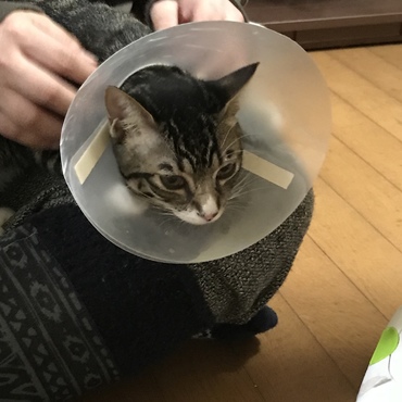 外してもらえるー！！