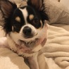 ゆうかたん