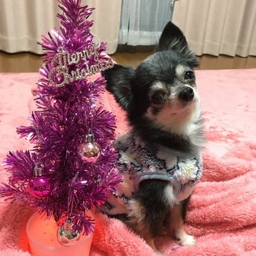 クリスマス楽しみました！