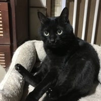 春