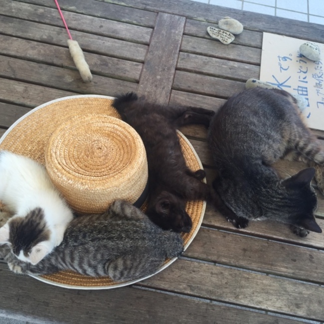 ヲキヨのカバー写真