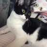 ねね