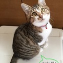 抱っこ大好き