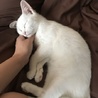 nanasj
