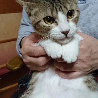 甘えん坊なあつき君