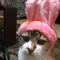 ムー